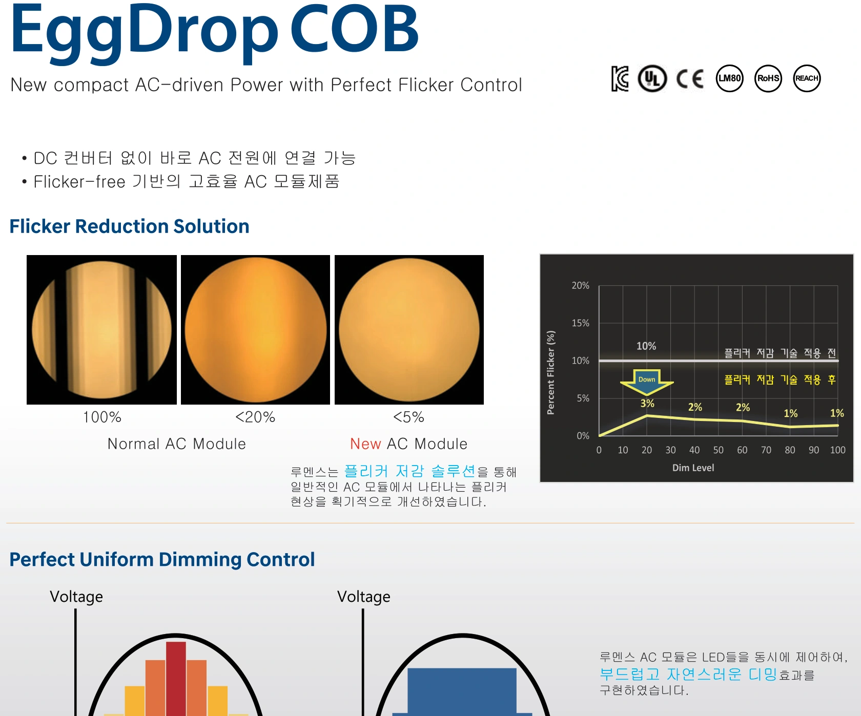 EggDrop COB 공식 카탈로그 전체 이미지